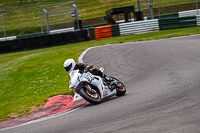Advanced Group White Bikes